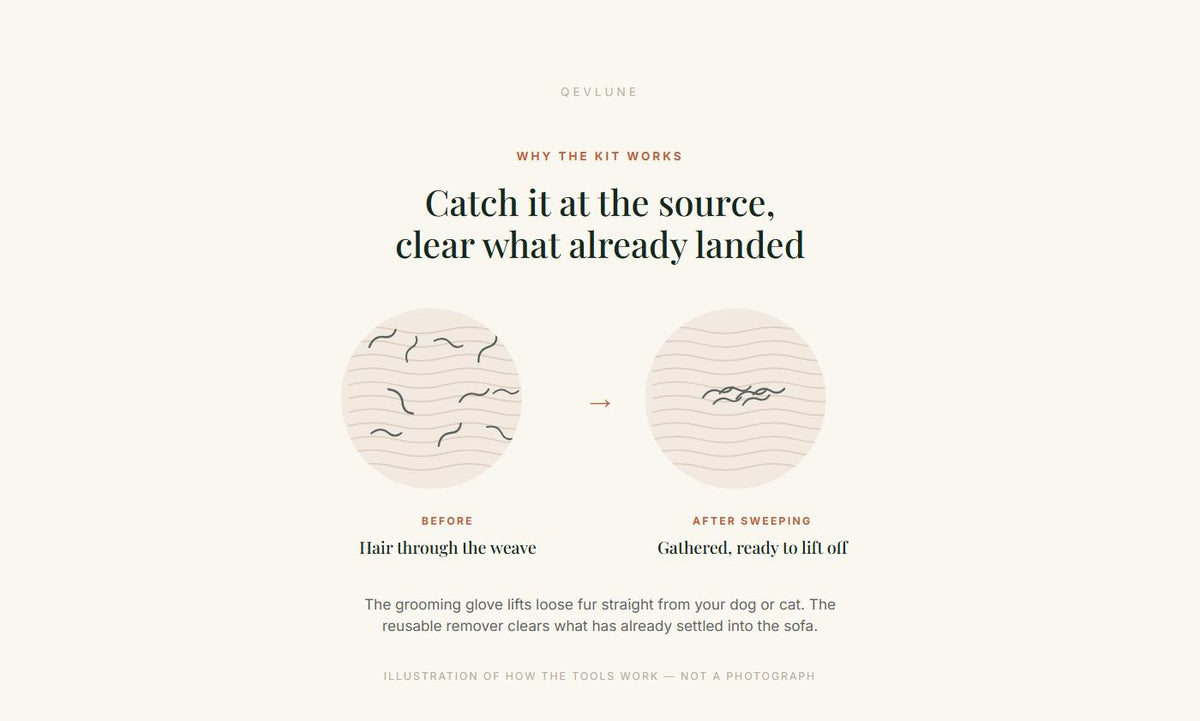 Illustration, not a photograph: pet hair scattered through the weave of a sofa before sweeping, and gathered into one line afterwards. The glove lifts loose fur from your pet; the remover clears what has already settled into the fabric.